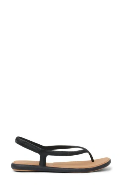 Reef Water Willow Maya Sandals Woblack Waterproof Adjustable Strap Gal533