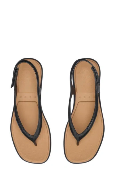 Reef Water Willow Maya Sandals Woblack Waterproof Adjustable Strap Gal533