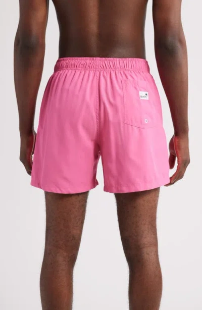 Boardies Solid Swim Trunks In Pink