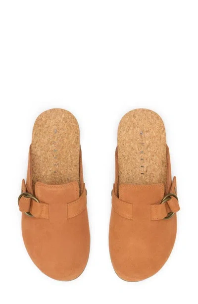 Reef Vista Serenity Clog