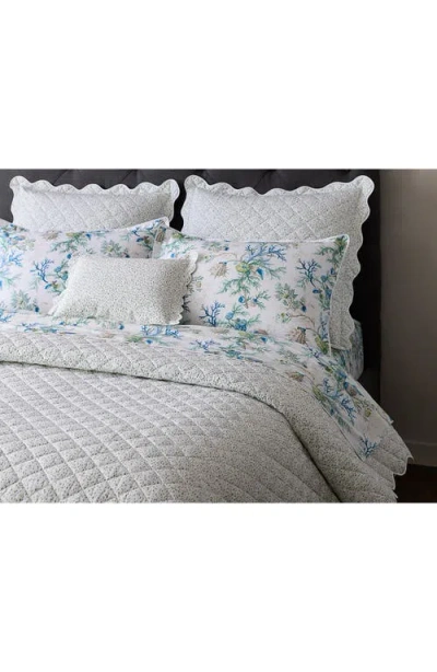 Matouk Celine 500 Thread Count Percale Fitted Sheet