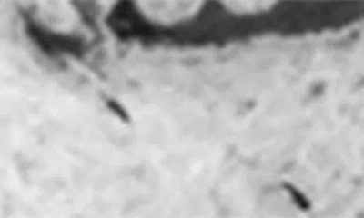 Twojeys Midnight Ring