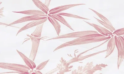 Matouk Dominique 500 Thread Count Percale Flat Sheet