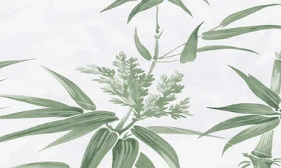 Matouk Dominique 500 Thread Count Percale Flat Sheet