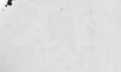 Tasha Link Hoop Earrings