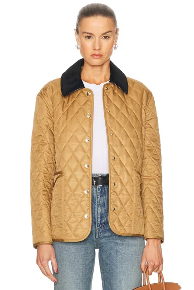Burberry Corduroy-trimmed Quilted Shell Jacket In Brown