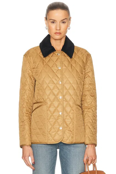 Burberry Corduroy-trimmed Quilted Shell Jacket In Brown