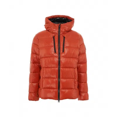 Save The Duck - Luck15 Maxime Giub. Cap 70025 Maple Orange D30816m