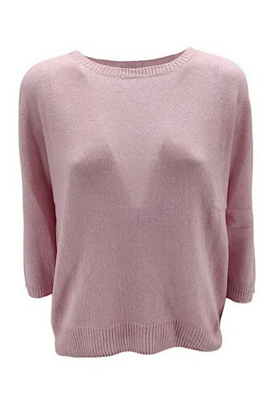 Aragona Sweaters Pink