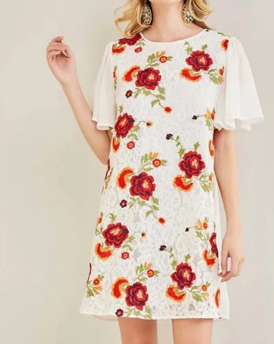 Entro Lace & Floral Shift Dress In Multi