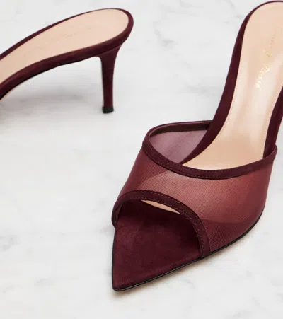 Gianvito Rossi Elle 70 Mesh Mules