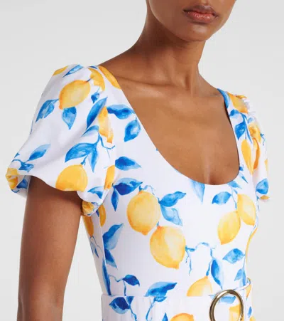 Alexandra Miro Jeanie Belted Printed Swimsuit In Multi