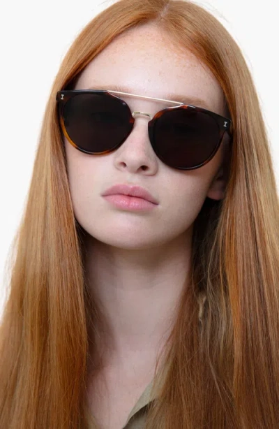 Illesteva Puglia Sunglasses In Brown