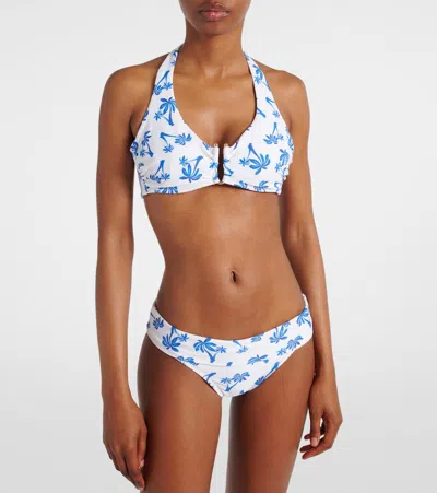 Heidi Klein Palm Beach Printed Bikini Top In Blue