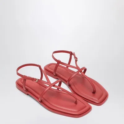 Shop A.emery The Remly Sandals Cherry Coloured In Leather