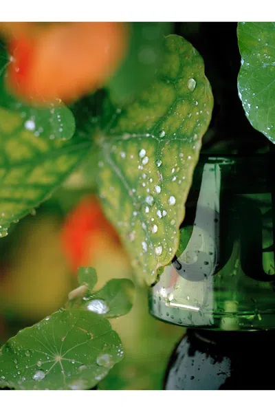 Vyrao I Am Verdant Eau De Parfum