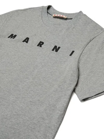 Marni Kids Gray Crew-neck Short-sleeve T-shirt