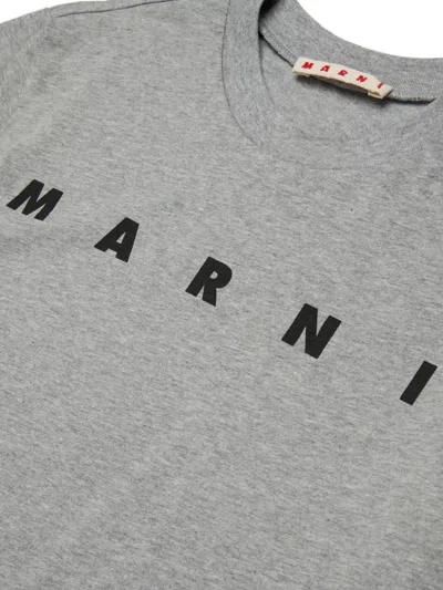 Marni Kids Gray Crew-neck Short-sleeve T-shirt