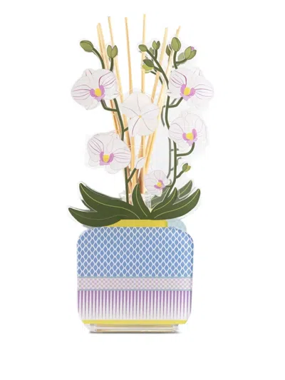 LIVINIA 大号扩香器