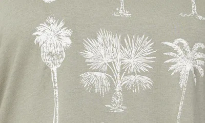 C&c California C & C California Camille Everyday Graphic T-shirt In Green