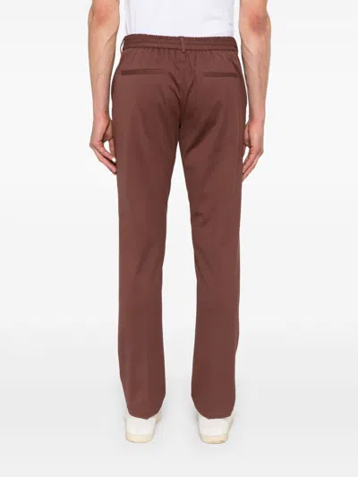 Circolo 1901 Cotton Trousers In Brown