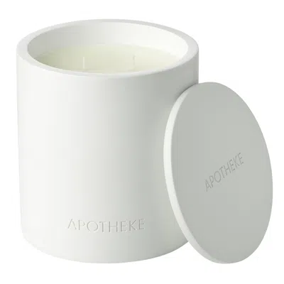 Apotheke Holy Basil And Rosewater 2-wick Concrete Candle