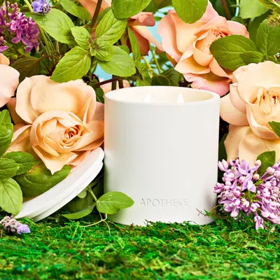 Apotheke Holy Basil And Rosewater 2-wick Concrete Candle
