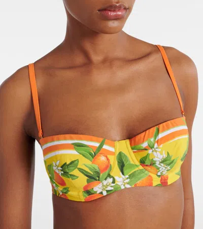 Dolce & Gabbana Printed Bikini In Multi