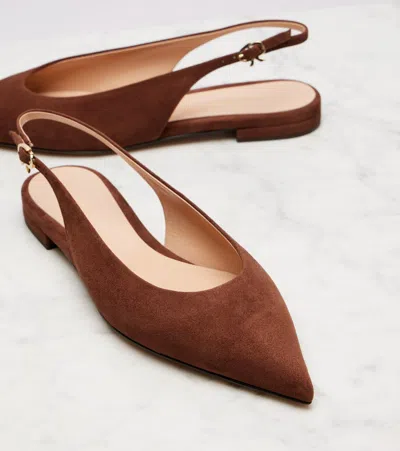 Gianvito Rossi Robbie 05 Slingback Flats In Brown