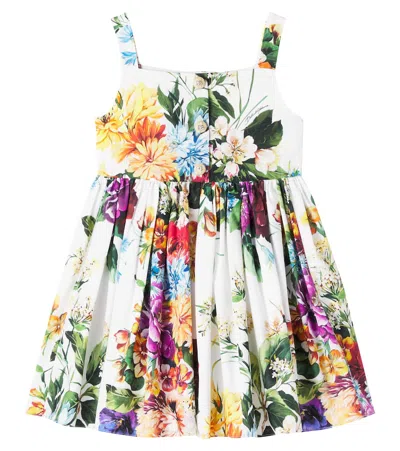 Dolce & Gabbana Flower-print Poplin Dress In Multi