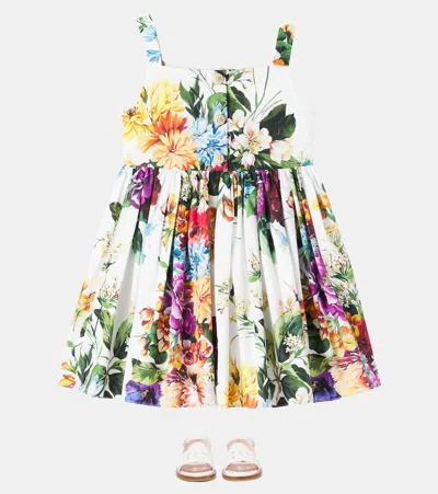 Dolce & Gabbana Flower-print Poplin Dress In Multi