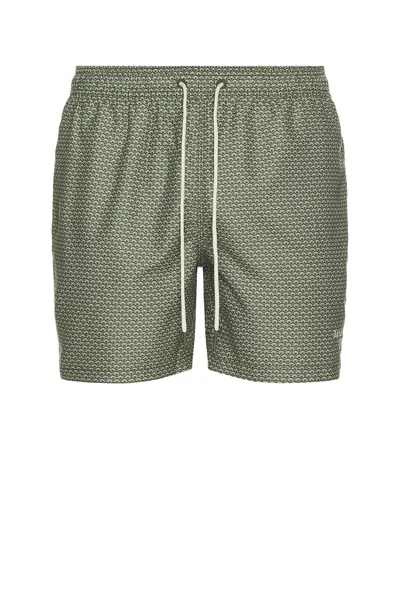 Barbour Shell Swim Short In Green