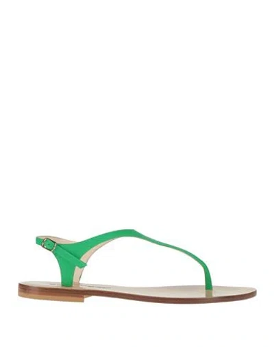 Eddicuomo Woman Thong Sandal Green Size 6 Calfskin