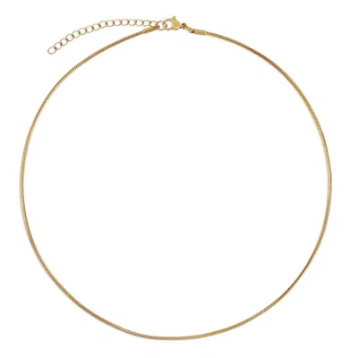 Ellie Vail Amara Dainty Snake Chain Choker Necklace In Gold