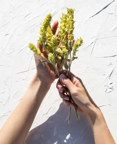 Korres Olympus Tea Oil Balancing Cleansing Gel, 6.76 Oz.