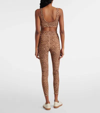 The Upside Panthera Daisy Scoop Neck Sports Bra In Brown