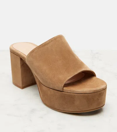 Gianvito Rossi Suede Platform Mules In Brown