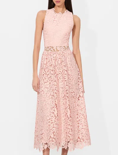 Alice And Olivia Alice + Olivia Dresses