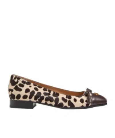 Valentino Garavani Ballerina Leather-trimmed Leopard-print Calf Hair Flats In Multi