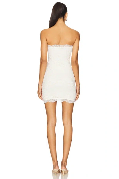 Superdown Kleid Chiara