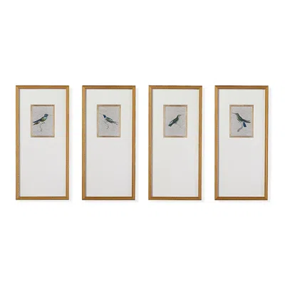 Frontgate Set Of 4 Antique Hummingbird Giclee Prints