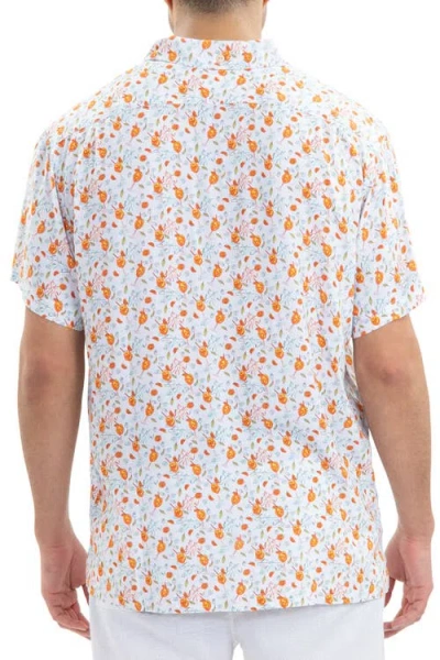 Kenny Flowers The Seaside Spritz