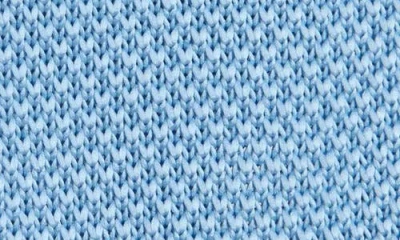 Clifton Wilson Baby Blue Knit Silk Tie