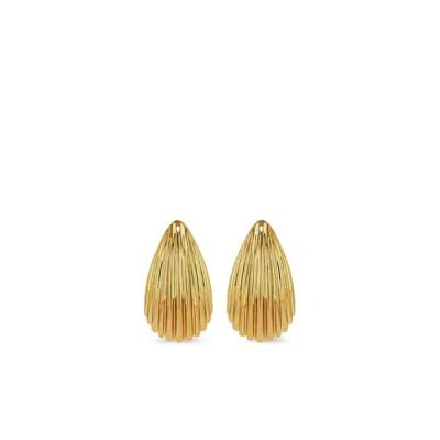 Anine Bing Brass Earrings In Gold