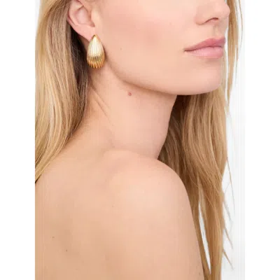 Anine Bing Brass Earrings In Gold