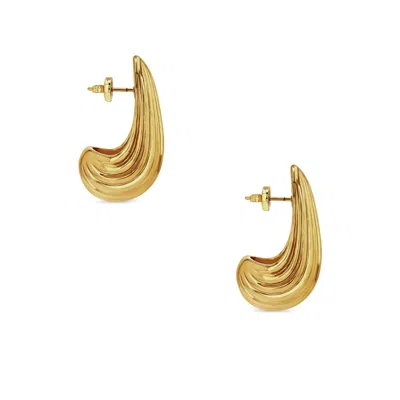 Anine Bing Brass Earrings In Gold
