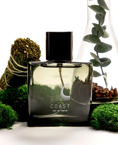 Cardon Coast Functional Fragrance In Black