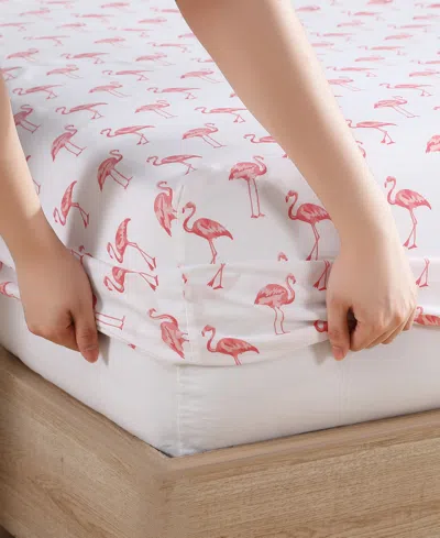 Beatrice Home Fashions Coastal Printed 4-pc. Sheet Set, Full