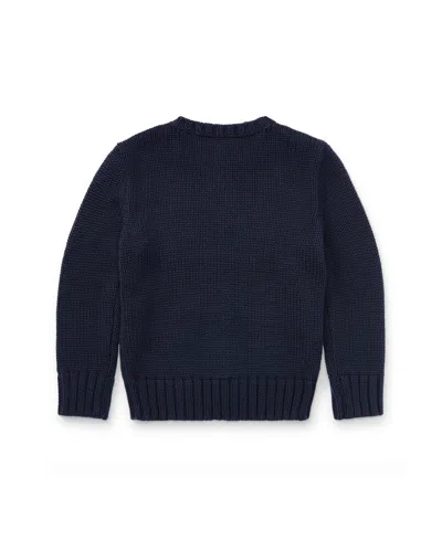 Polo Ralph Lauren Flag Cn Swtr Tops Sweater