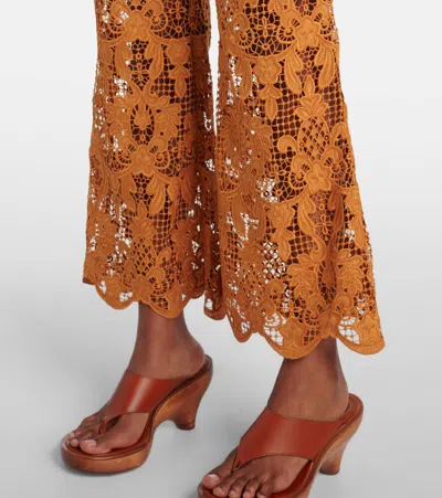Zimmermann Orange Lace Coco Pant